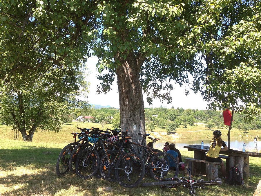 bike (10) bike (10)