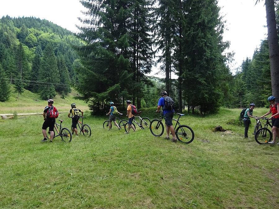bike (16) bike (16)